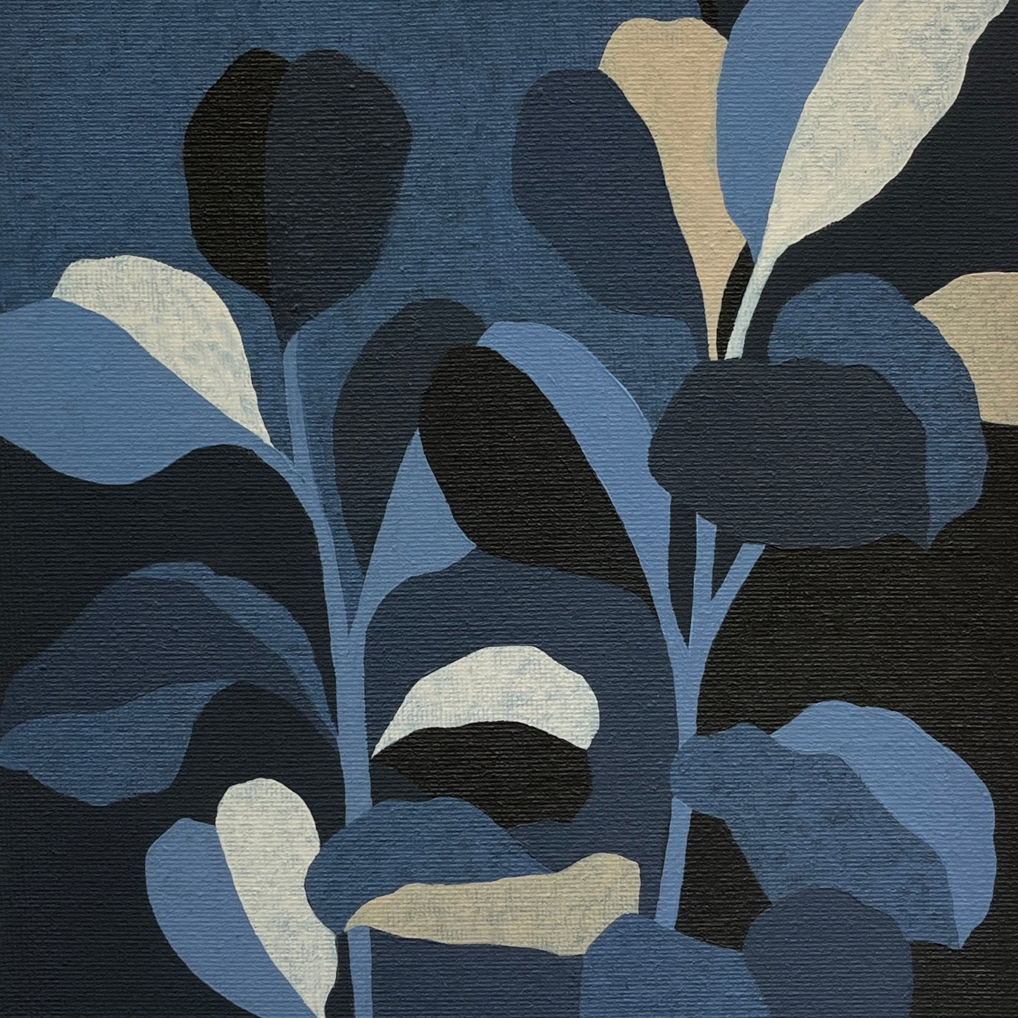 OPEN EDITION PRINT - COLOUR GARDEN (MIDNIGHT)